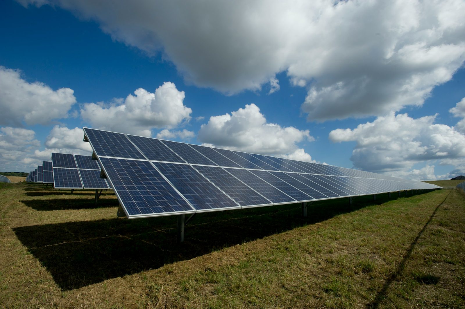 Rows of solar panels in a field